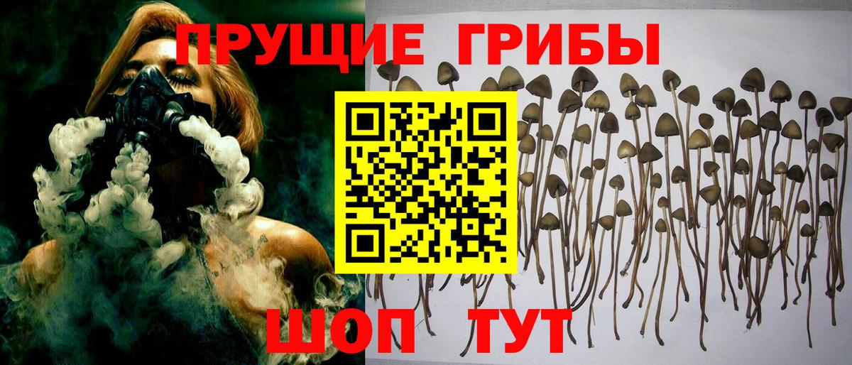 Псилоцибиновые грибы мухоморы Самара